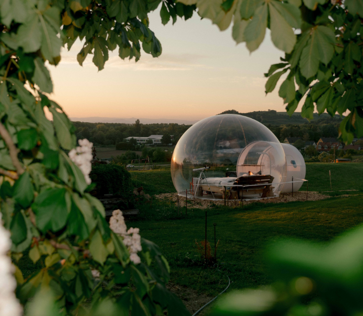 Bubble Tent Winzerhof Weinrebe - Book a Bubble