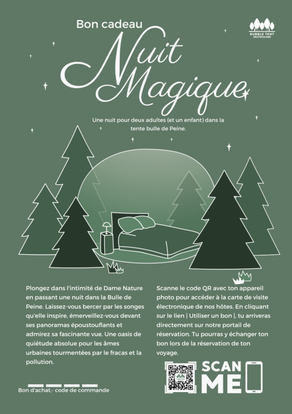 Peine | Bon standard – Image 4