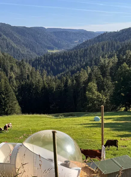selbstaufblasbare zelte TentHome Aufblasbare Camping Wasserdicht Glampingzelt Familienzelt Stehhöhe Luxuszelt mit Pumpe für 2-6 Personen L: 400 x 300 x 210cm Sport & Freizeit Tarp Material:No Tarp Korean Pharmacy Product CARINTHIA Militärschlafsack EAGLE -