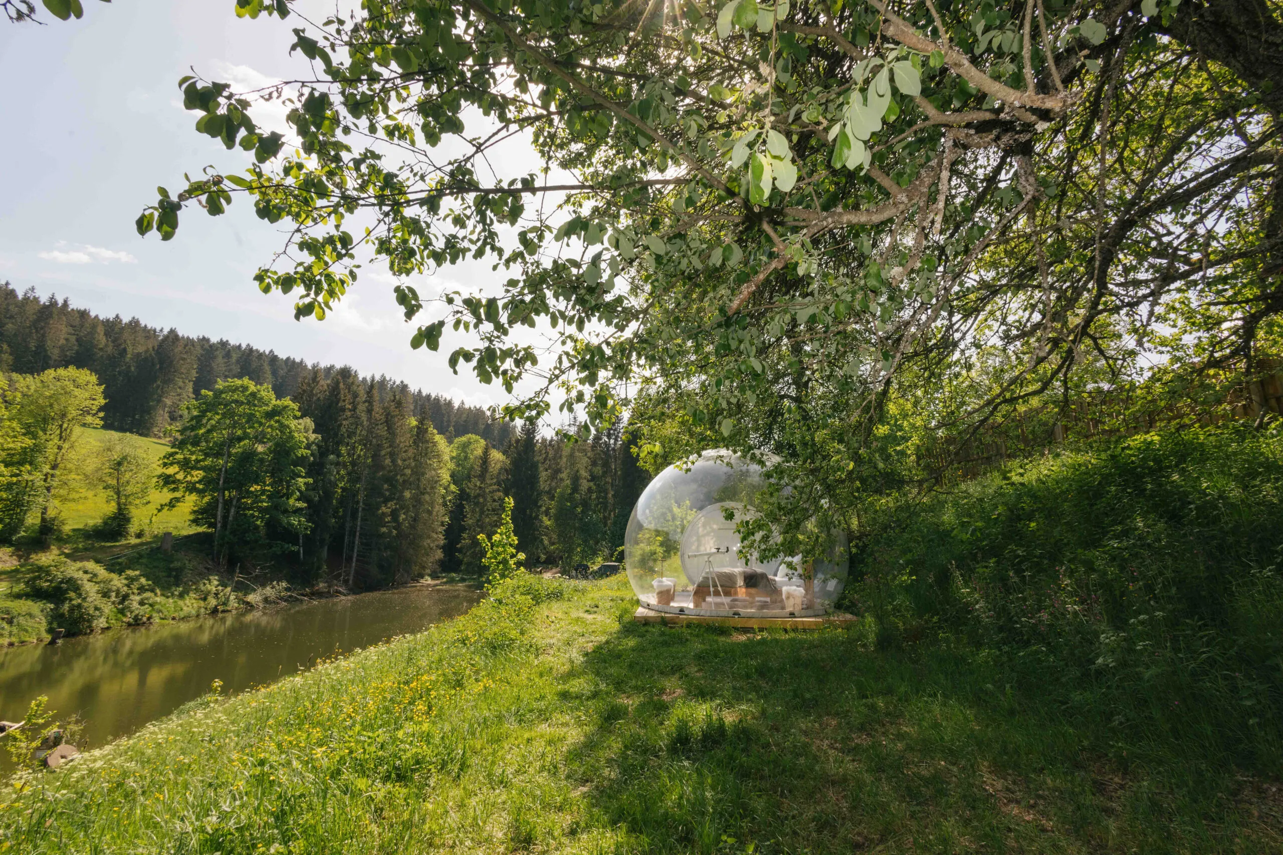 Natur Pur